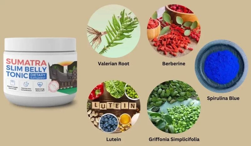 Sumatra Slim Belly Tonic 2025 : A Scientific Review of the Metabolic “Switch”