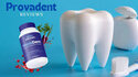 ProvaDent 2025: The “Internal Dentist” Protocol for Gum and Enamel Resilience