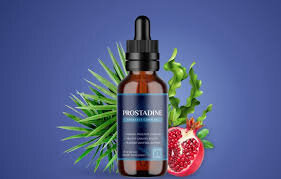 Prostadine 2025-26 : The Advanced “Prostadine” Protocol for Prostate Longevity and Urinary Flow