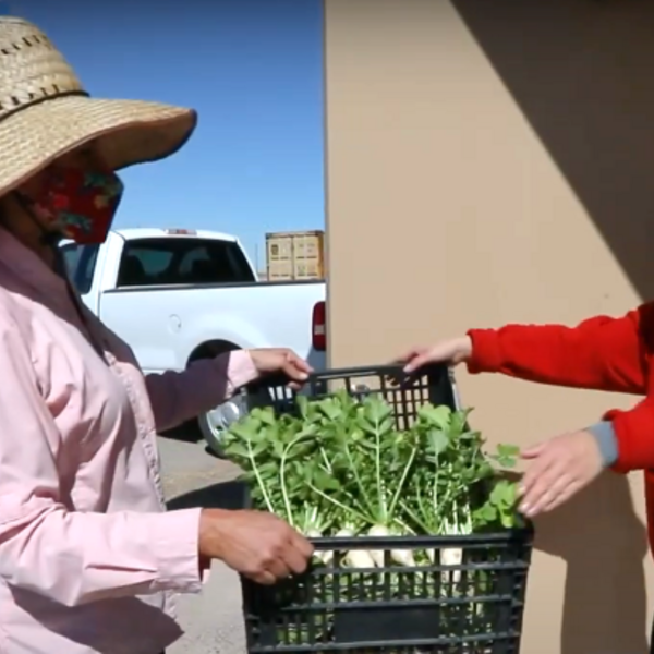 Farm Fresh Program