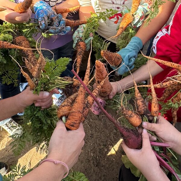 Edible Education