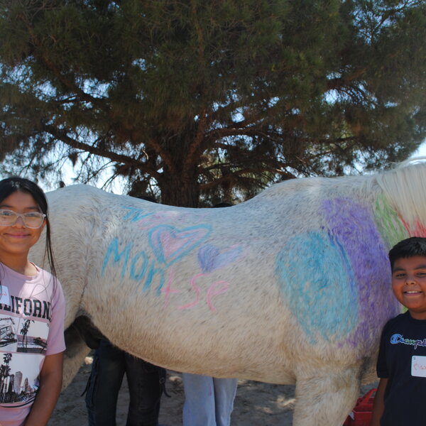  Children from Ciudad Nueva draw on and meet a horse for the first time in their lives. 