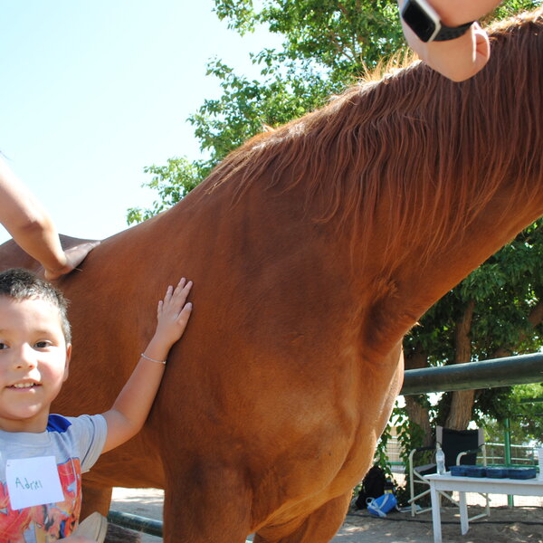 Boy from the YWCA Transitional Living Center interacts with a horse for the first time.
