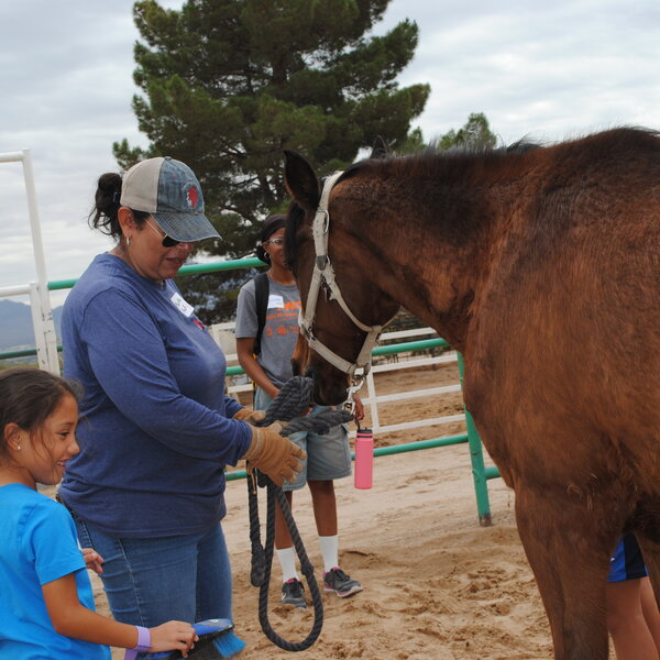 Girl from the YWCA interacts with a horse for the first time and learns how to brush him.