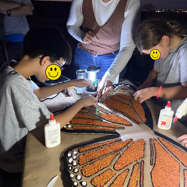 Insect Night 2025