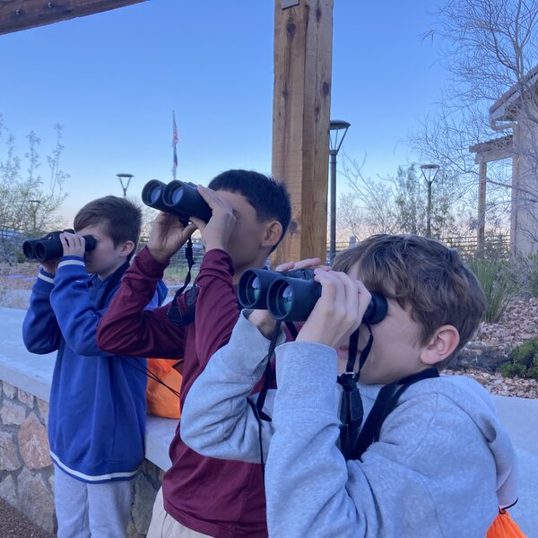 Desert Discovery Camps