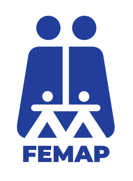 FEMAP 