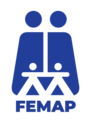 FEMAP 