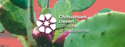 The Community Climate Sustainability & Resilience Fund
